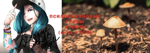 гашик Инта