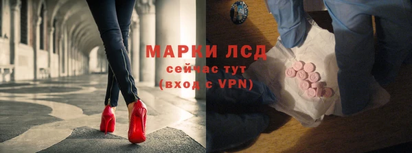 гидропоника Иннополис