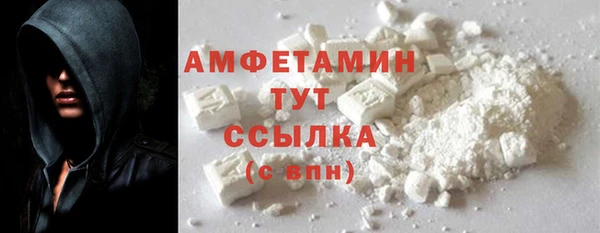 гашик Инта