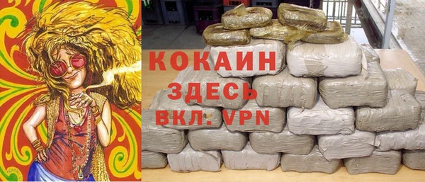 гашик Инта