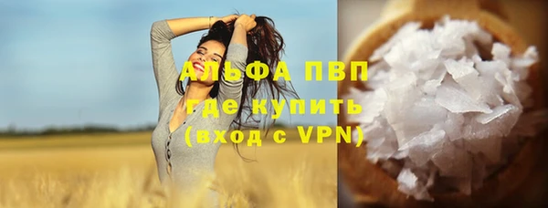гашик Инта