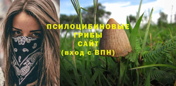 бошки Верхнеуральск