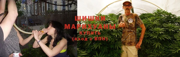 гидропоника Иннополис
